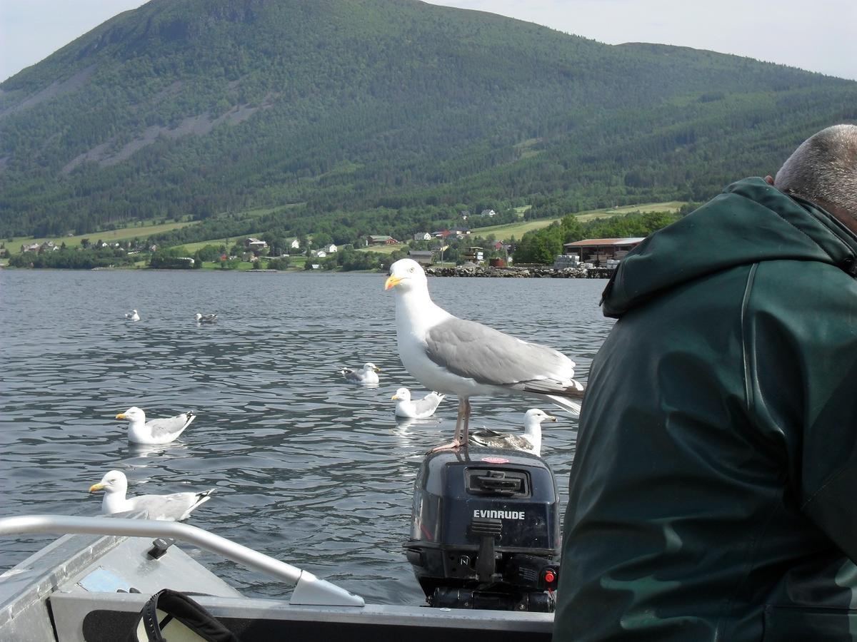 Fagervik Camping Tresfjord Bagian luar foto